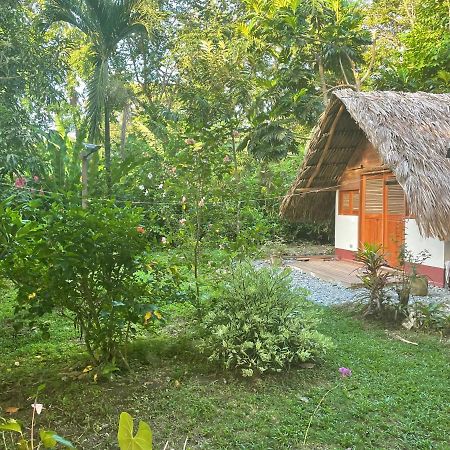 Cabanas Tucan Eco Hotel Капургана Экстерьер фото