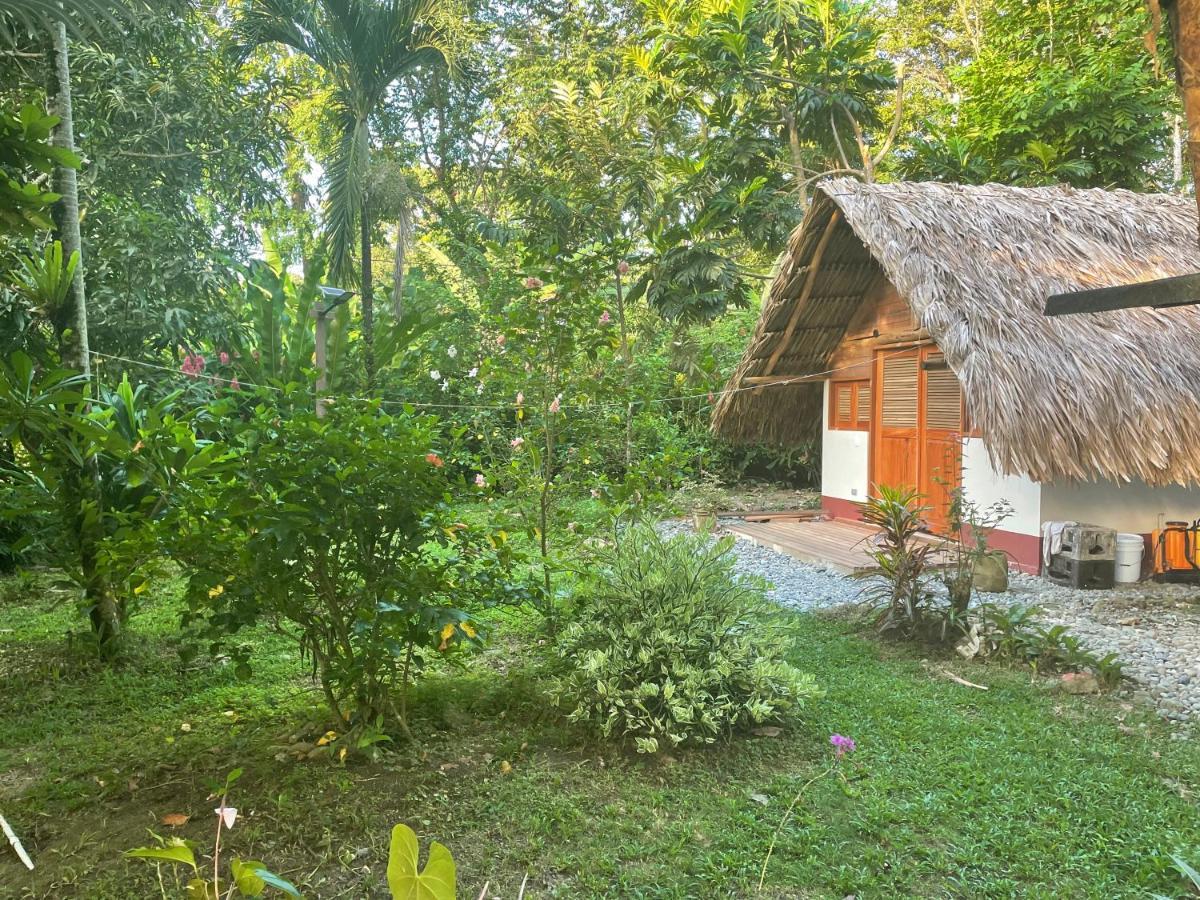 Cabanas Tucan Eco Hotel Капургана Экстерьер фото
