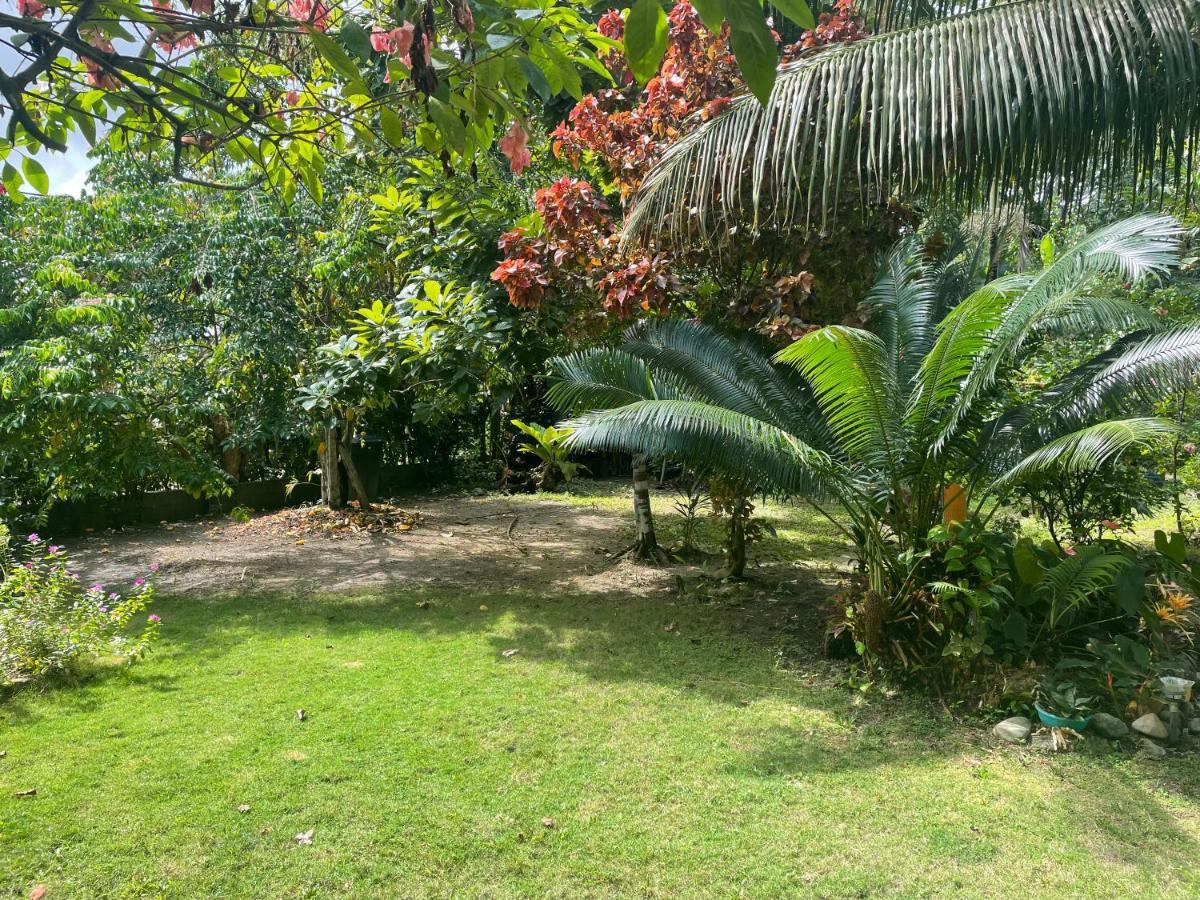 Cabanas Tucan Eco Hotel Капургана Экстерьер фото