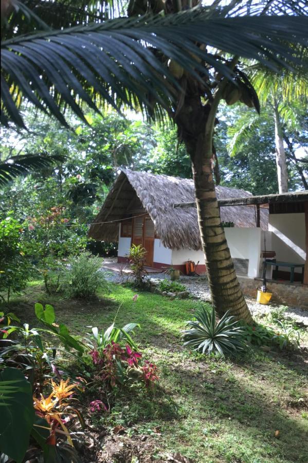 Cabanas Tucan Eco Hotel Капургана Экстерьер фото